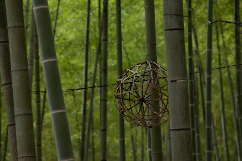 緑は目にやさしい〜🍃