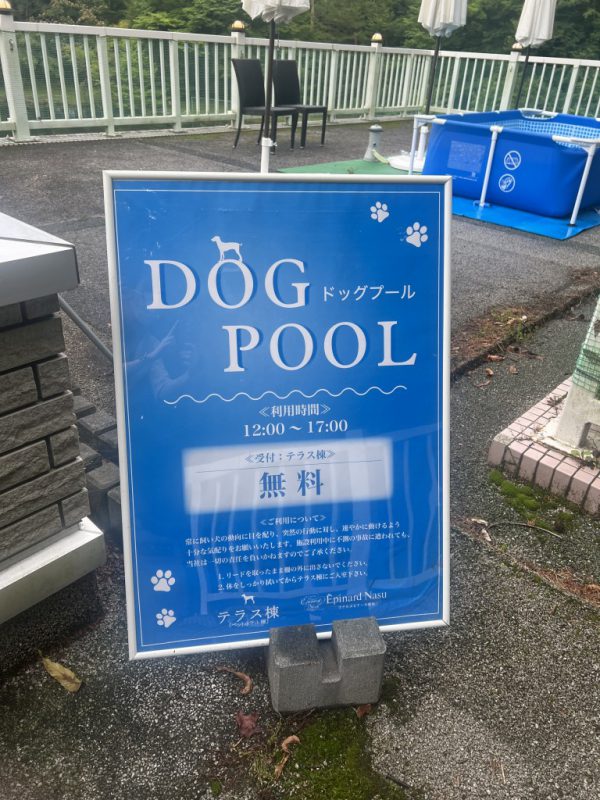 ドッグプール始まりました♪