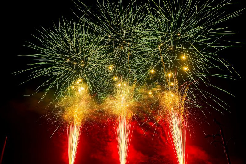 夏休み限定！夜のツアー🦁🎆