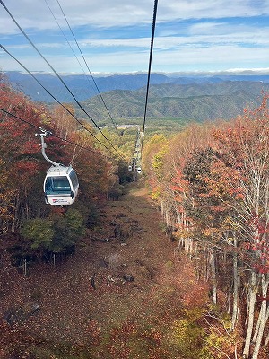 紅葉シーズン到来♪