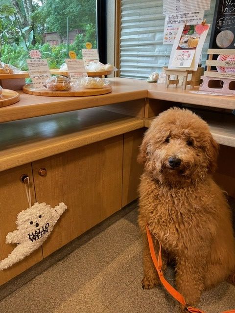 うまうま幸せパン屋さん♪