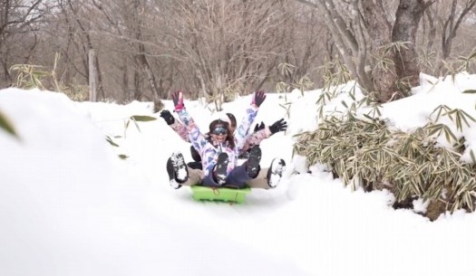雪の上をあるく。
