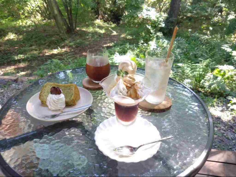 わんちゃんOKの癒しカフェ☕