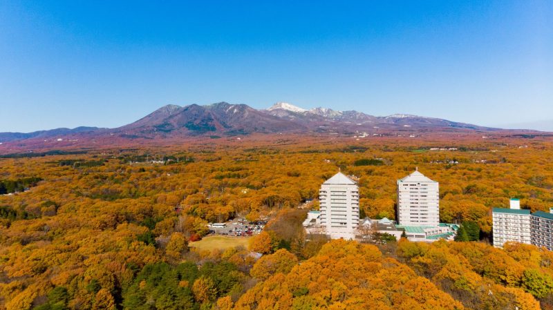 紅葉の季節がやってくる🍁