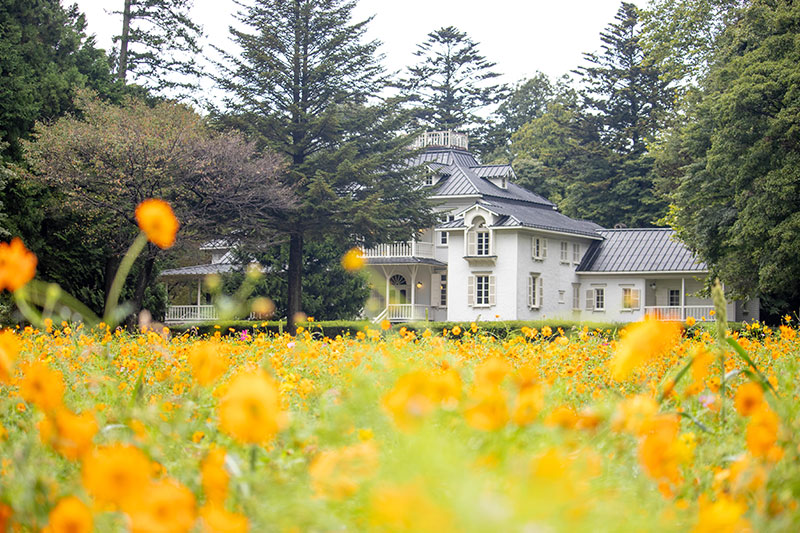 秋桜と那珂川の鮎