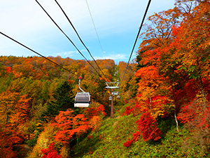 紅葉観賞ツアー