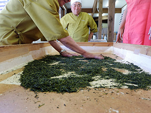 奥久慈茶 手もみ体験