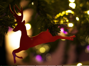 Merry XMAS