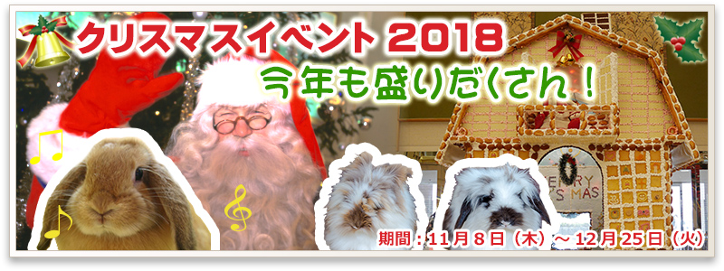 クリスマスイベント