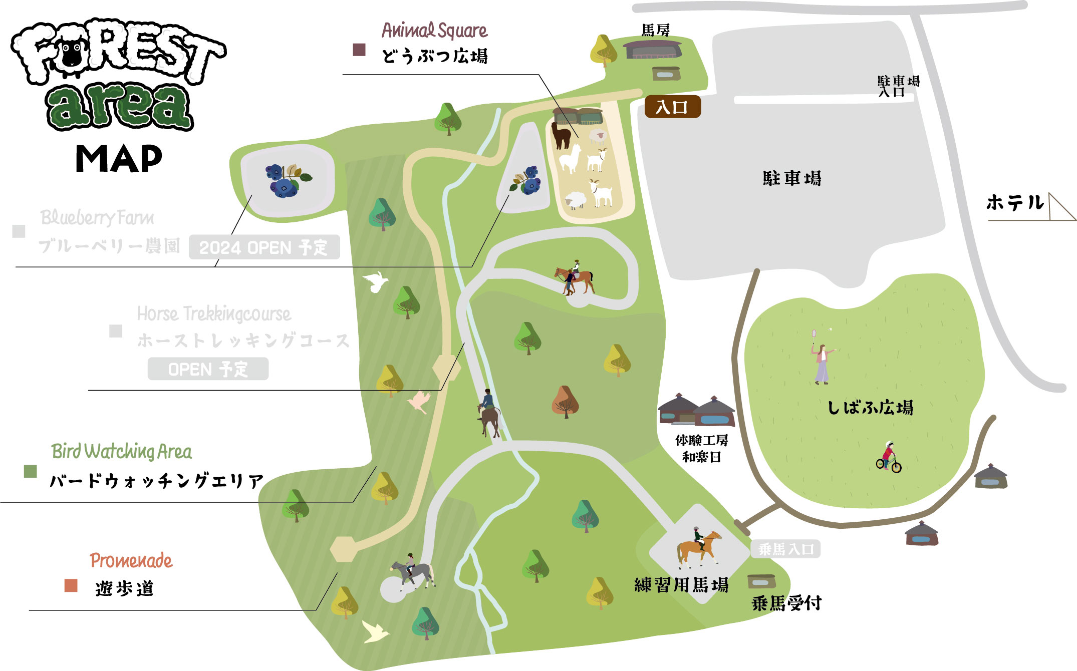 フォレストエリア地図