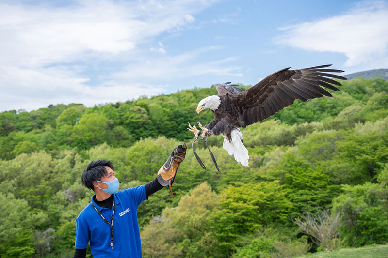 那須どうぶつ王国