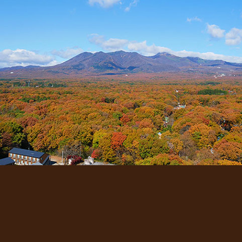 那須の紅葉スポット