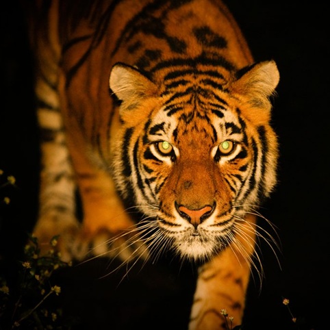 GWイベント情報