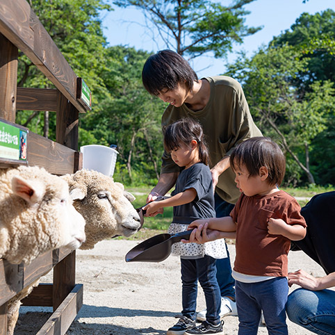 夏休み特別企画！