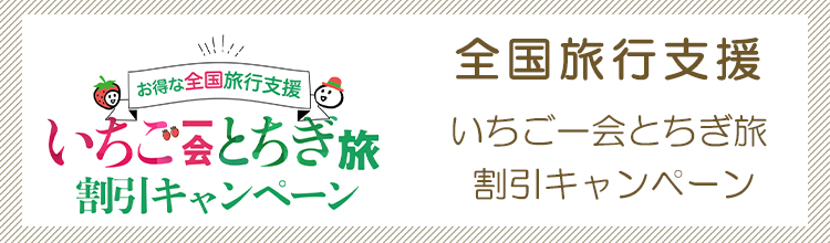 全国旅行支援