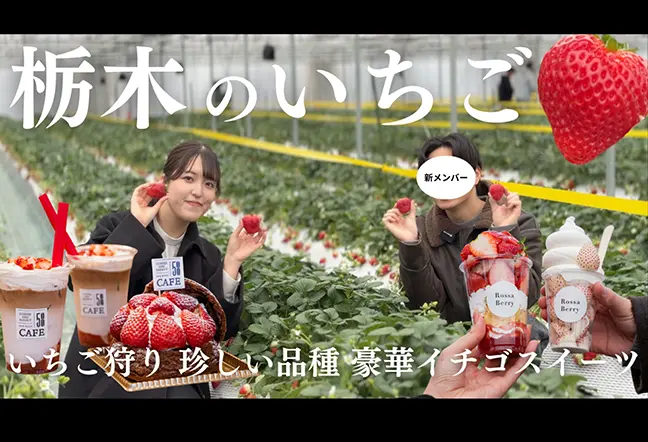 公式YouTubeチャンネル 『えぴなーる探偵団』