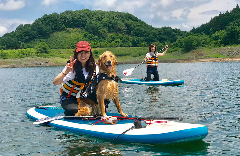 矢の目ダム湖