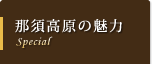 那須高原の魅力